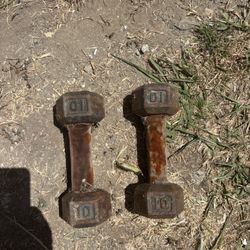Dumbbell Weights 10 Pounds Each 