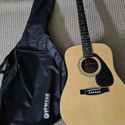 Guitar FD01