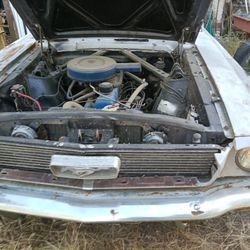 1966 Ford Mustang