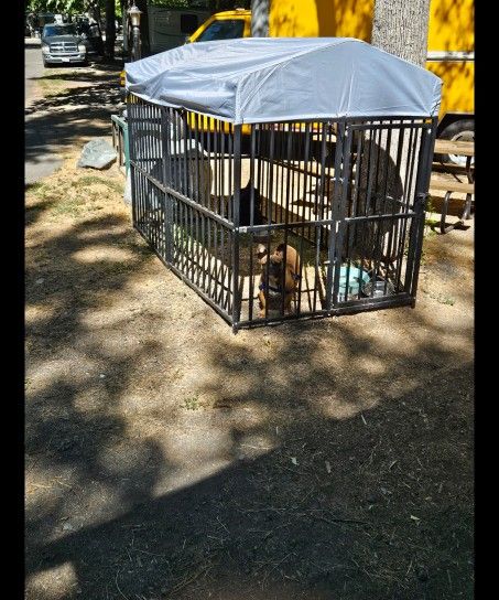 Dog Cage Little Dirty But Very Usable This 4x8
