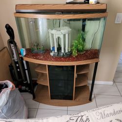 Fish Tank
