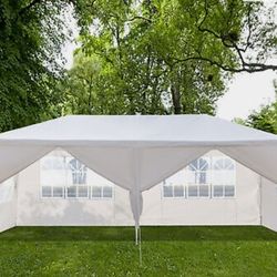 Brand New 10x20 Canopy 
