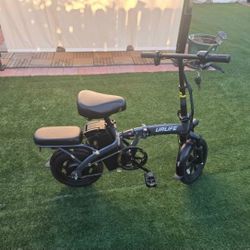 14" Folding Electric Bike, 500W Peak Motor, 48V 375Wh Removable Battery