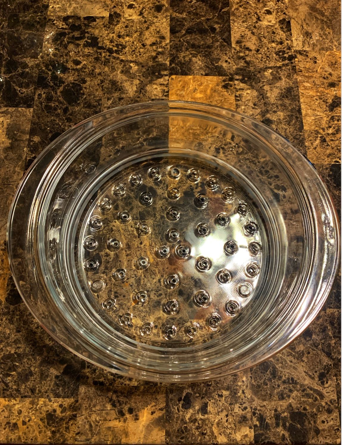 Princess House Glass Steamer