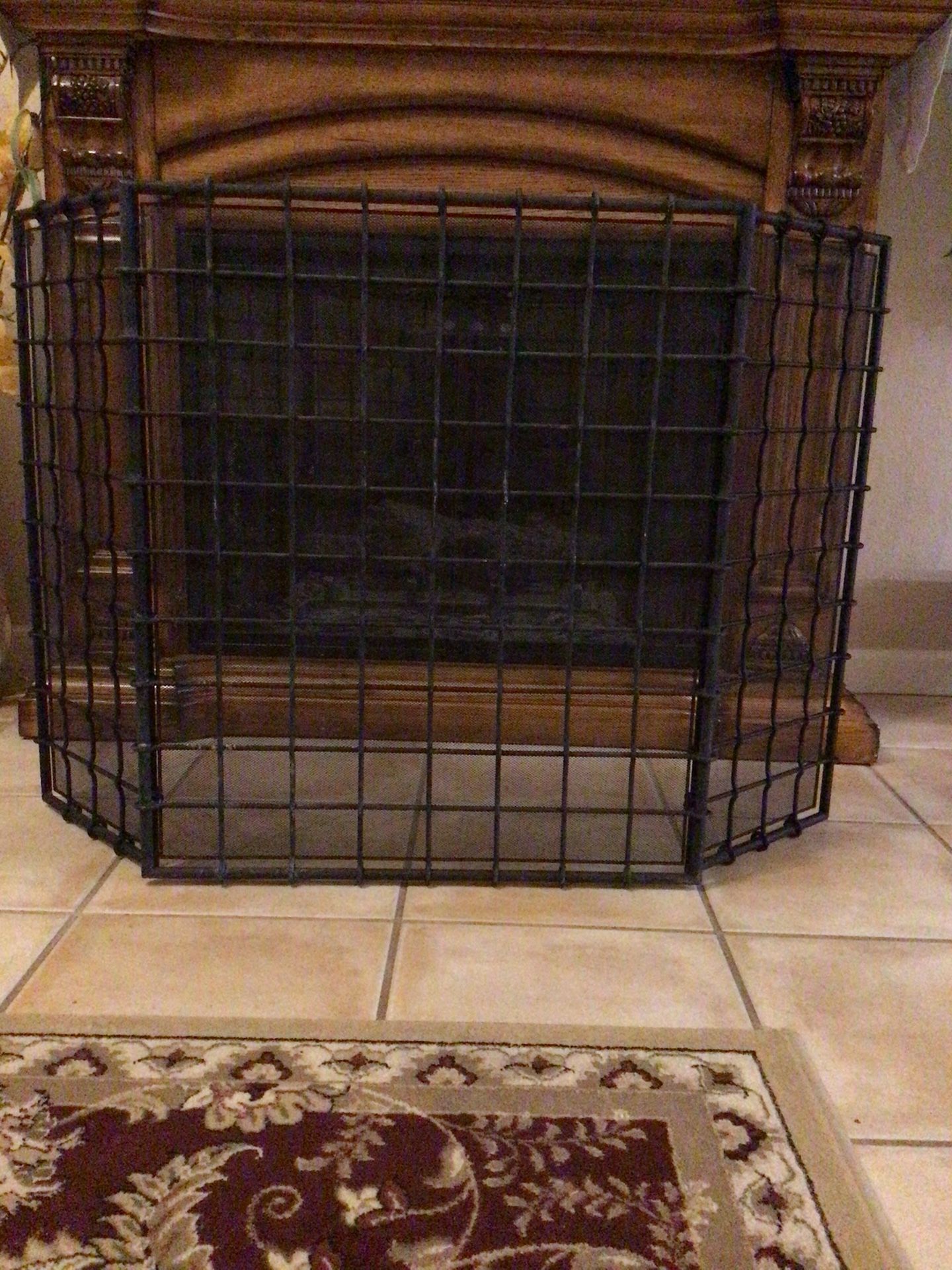 Fire Place Screen