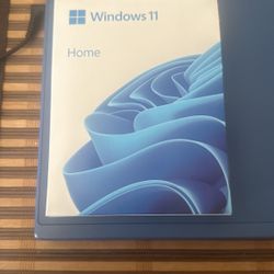 WINDOWS 11  