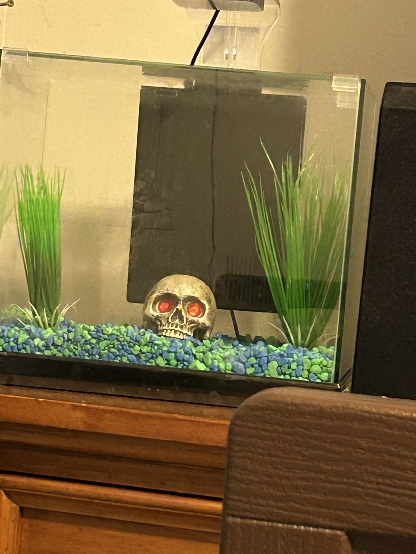 3.5 Gallon Fish Tank