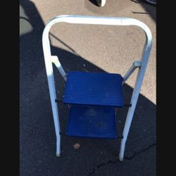 Two Steps Utility Ladder