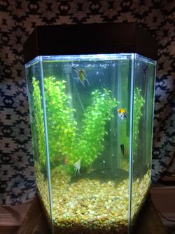 Hexagonal Fish Tank Aquarium with bright LED Light