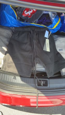 Brand new essential shorts
