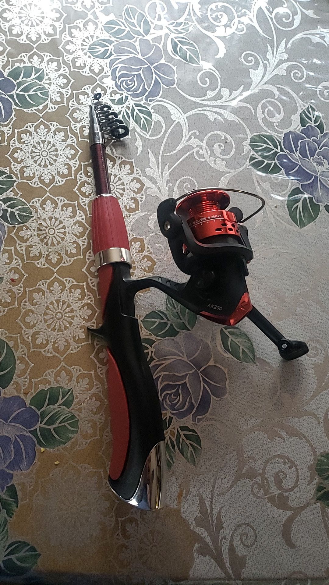 Brand new fishing pole whit reel