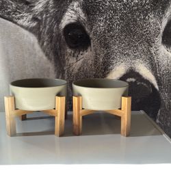 Elevated Cat Food Bowl