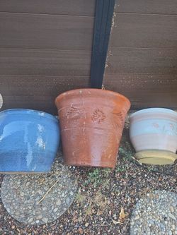 6 Expensvie Pots Plants big med small 200 Glendora Pick Up