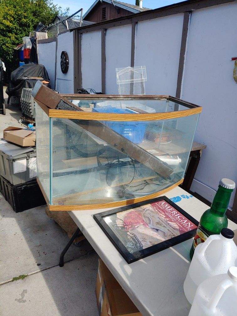 60 Gallon Bowfront Aquarium