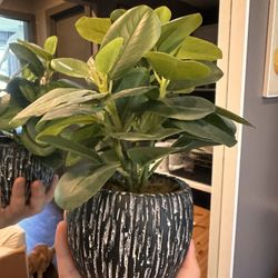 Artificial Decoration Plant 