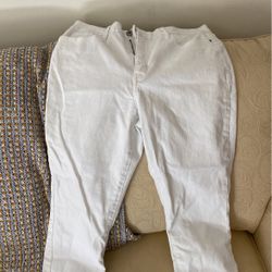 White Pants
