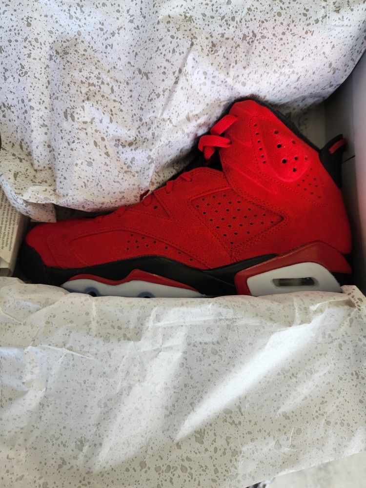 NEW Jordan Bravo 6's