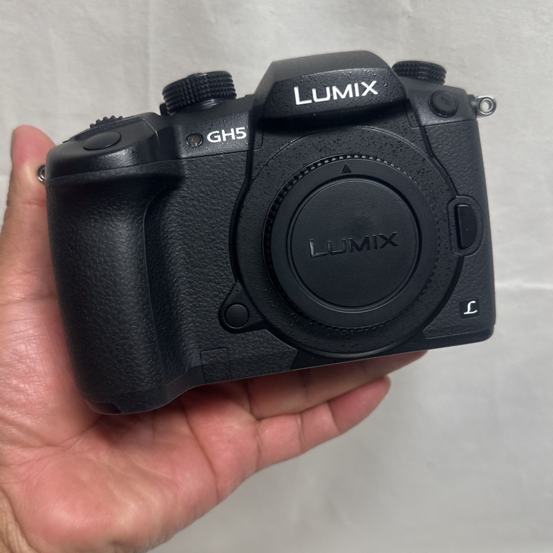 Lumix Gh5 Body Only Low Shutter Count $575 Firm