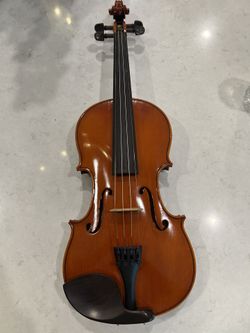 Violín 116