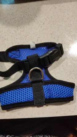 XS Blue harness...