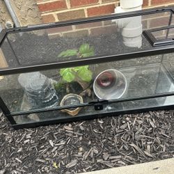 20 Gallon Reptile Tank With Accessories