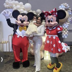 MICKEY AND MINNI MOUSE