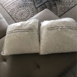 2 Couch Pillows for $10 Beige