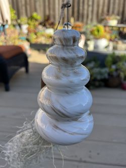 Live Spanish Moss Air Plant. In a white w/ gold blown glass holder. ☑️ profile for more 🪴