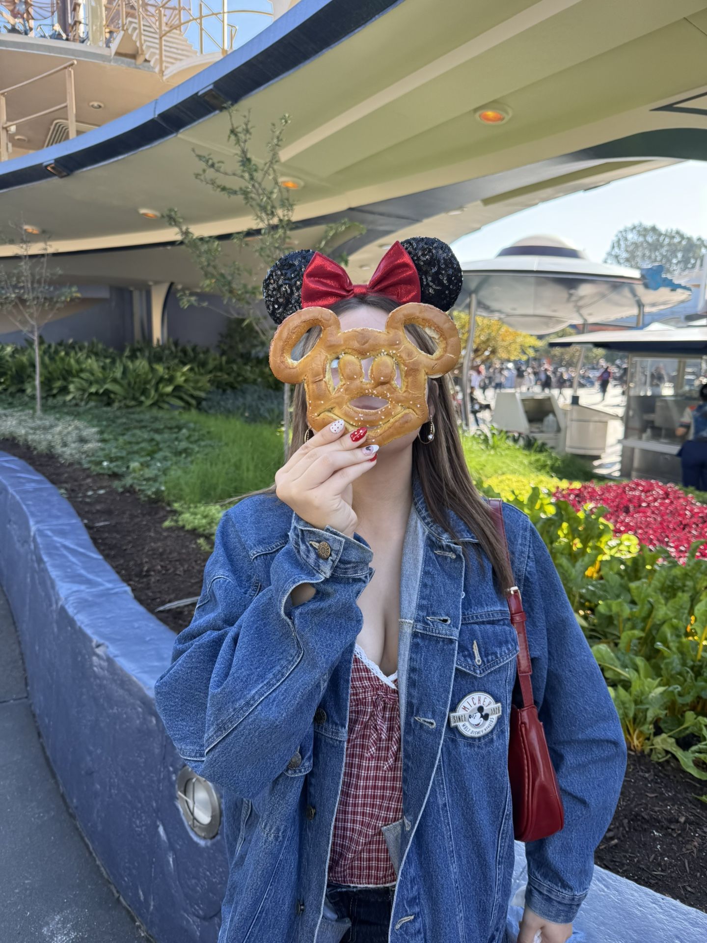 Disneyland Mickey Ears