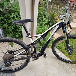 Specialized Stumpjumper FSR 29"