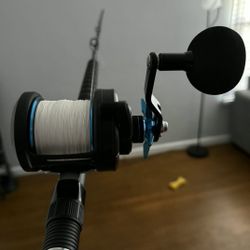 Daiwa Saltist Rod And Reel