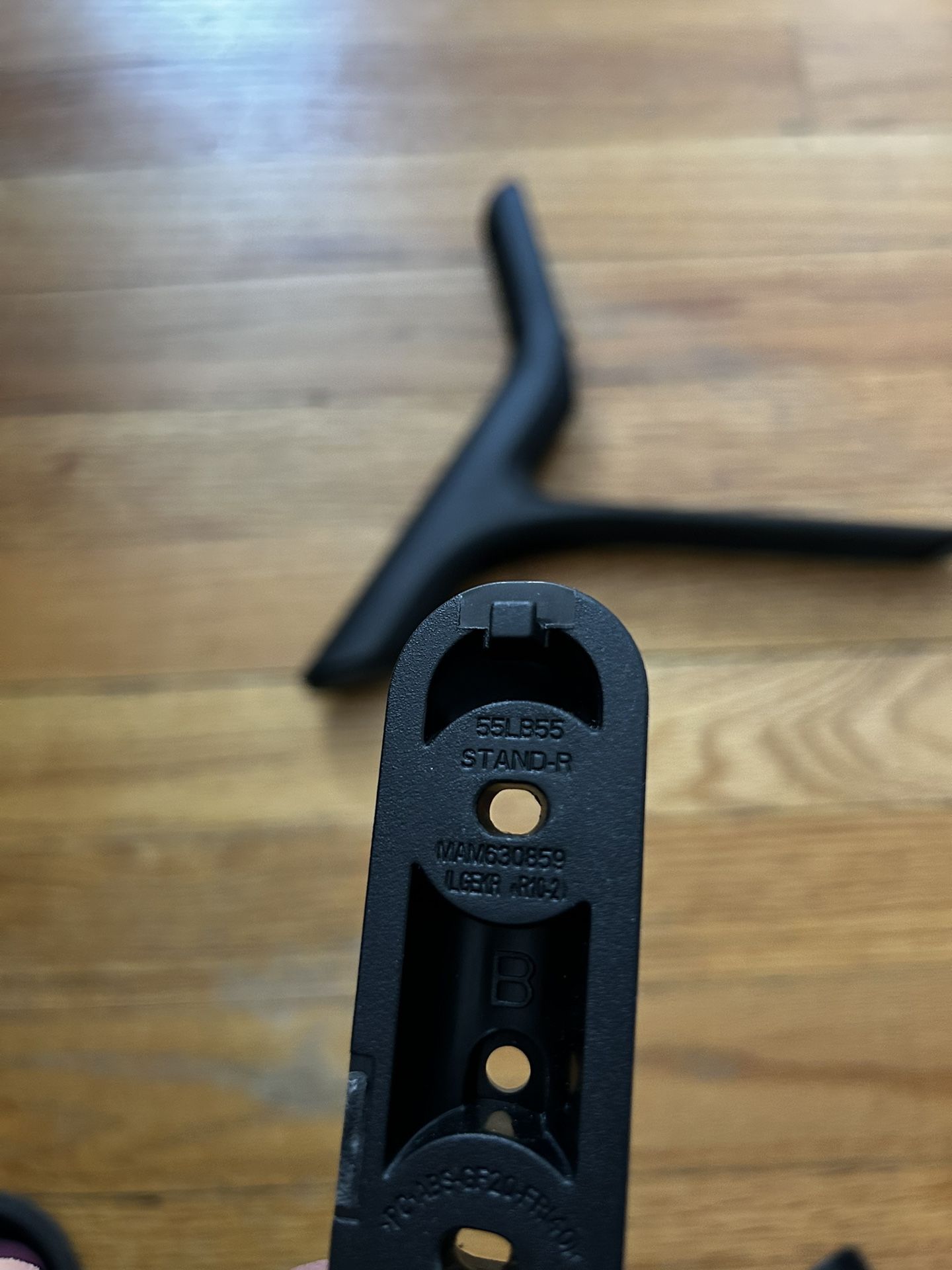 LG tv leg stands for 55LB55