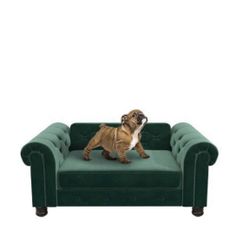 Ollie And Hutch Felix Pet Sofa 