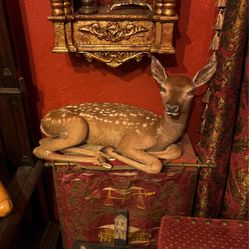 Vintage Large Fawn Deer Taxidermy 