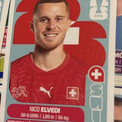 FIFA World Cup Stickers