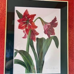 Framed Floral Painting 