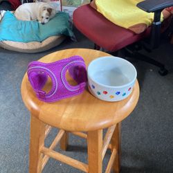 Small Dog Harness & Ceramic Bowl