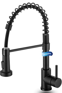 Kitchen Faucet with Sprayer