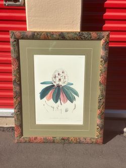 Framed Botanical Rhododendron Print