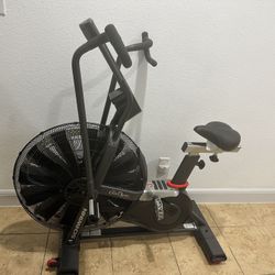 Schwinn Airdyne 7 
