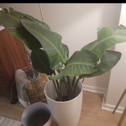Large Plant Vase/ Holder 