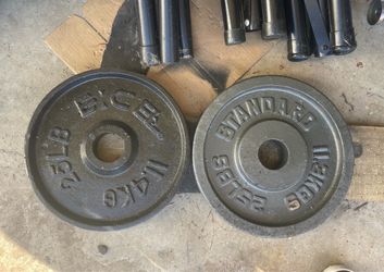 Olympic Weights- pair of 25s