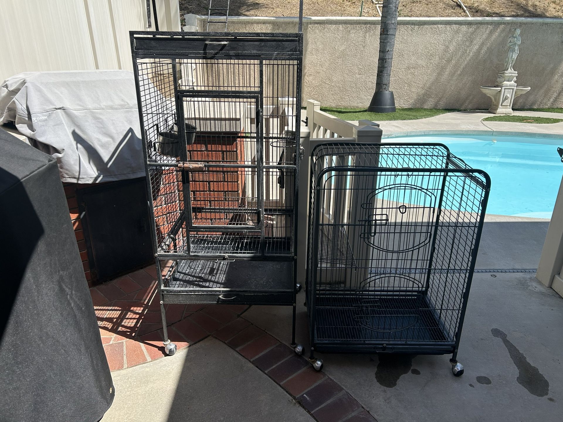 Bird Cage