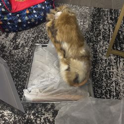 Azalea Wang Nadianna Boots