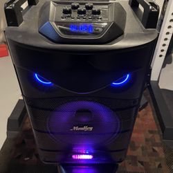 Large Speaker 