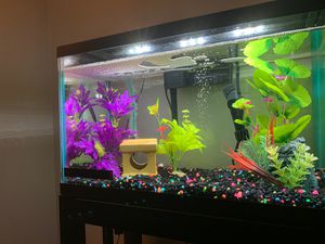 New And Used Fish Tank Decorations For Sale In York Pa Offerup