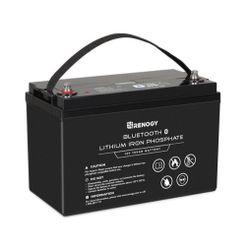 Renogy 12V 100Ah Lithium Iron Phosphate Battery w/ Bluetooth LiFePO4