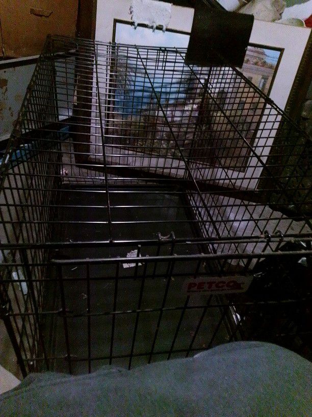 Large PetCo Dog Cage 