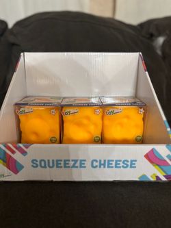 Squeeze cheese squishy
