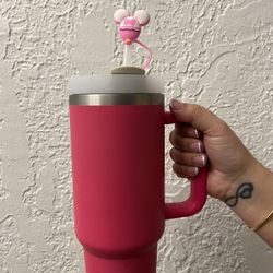 Silicone Straws Covers 